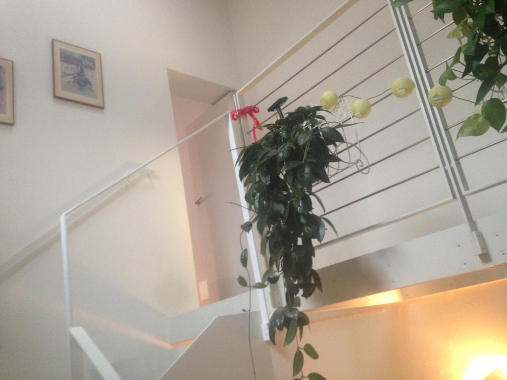 La Casina Apartment Parma Ngoại thất bức ảnh